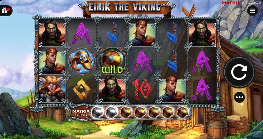 Eirik the Vikings.jpg