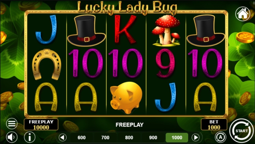 Lucky Lady Bug.jpg
