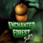 Enchanted Forest