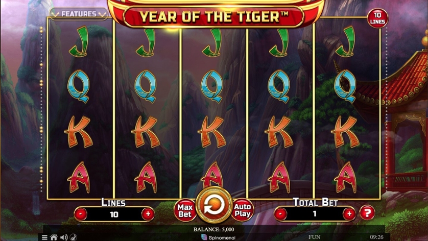 Year of the Tiger.jpg