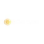 Metal Spiel Casino Logo