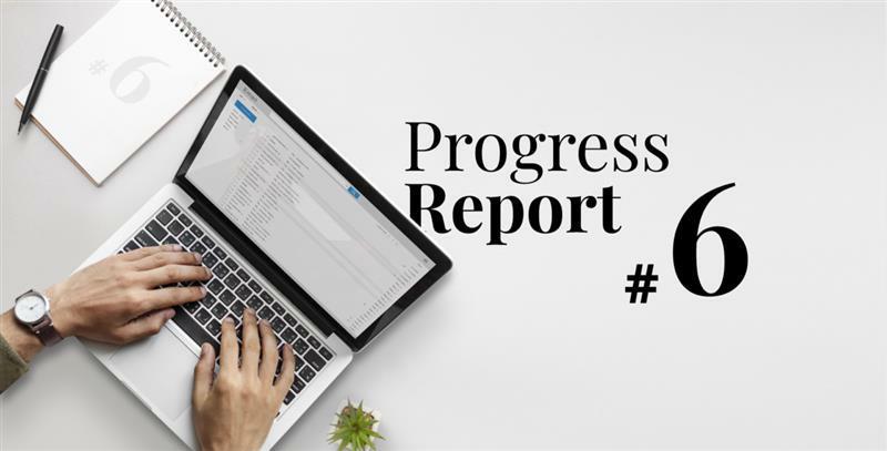 Progress Report 6