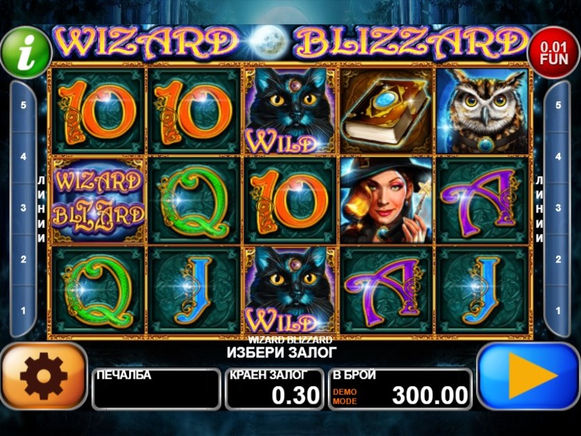 Wizard Blizzard Free Slots.jpg