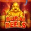 Budai Reels