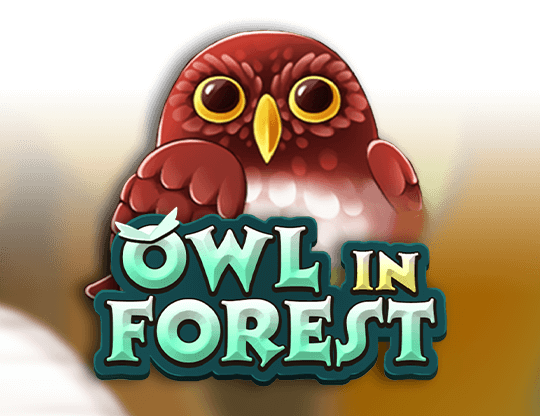 Owl In Forest