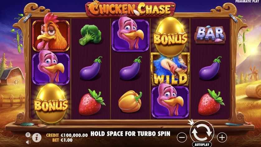 Chicken Chase SC.jpg