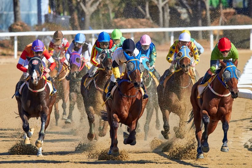 Horse racing in progress with jockeys spurring their horses.