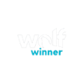 Wolf Winner Casino Logo