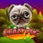 Crazy Pug