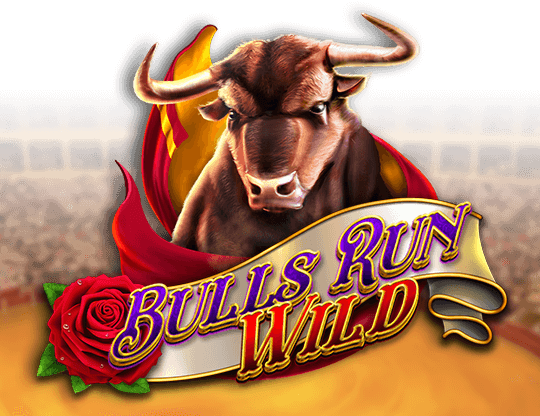 Bulls Run Wild