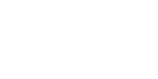 Логотип Winner Casino