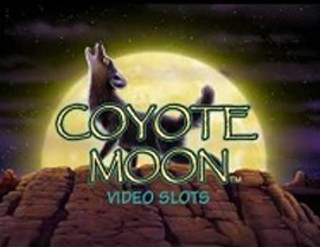 Coyote Moon
