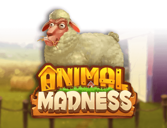 Animal Madness