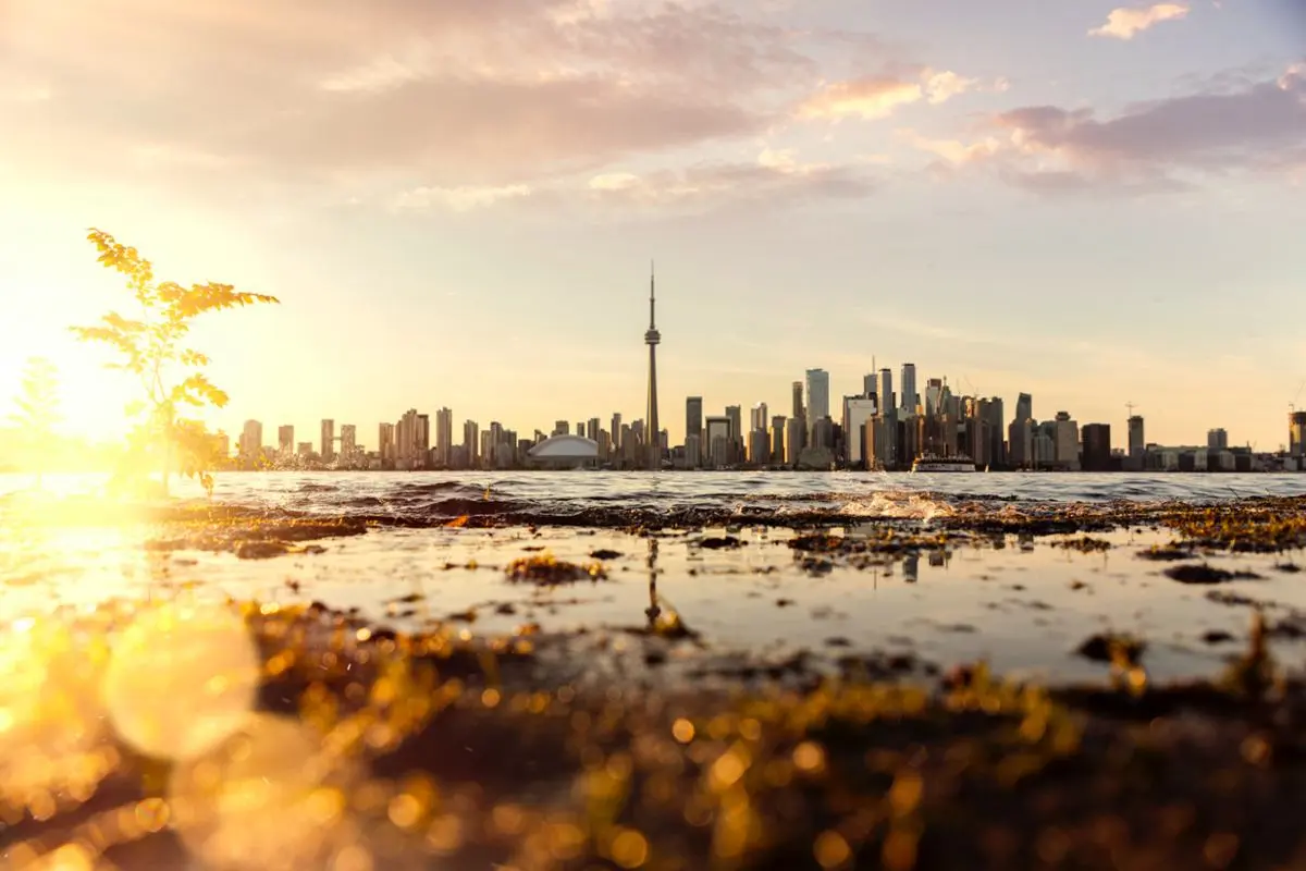 A view of Ontario's tower.