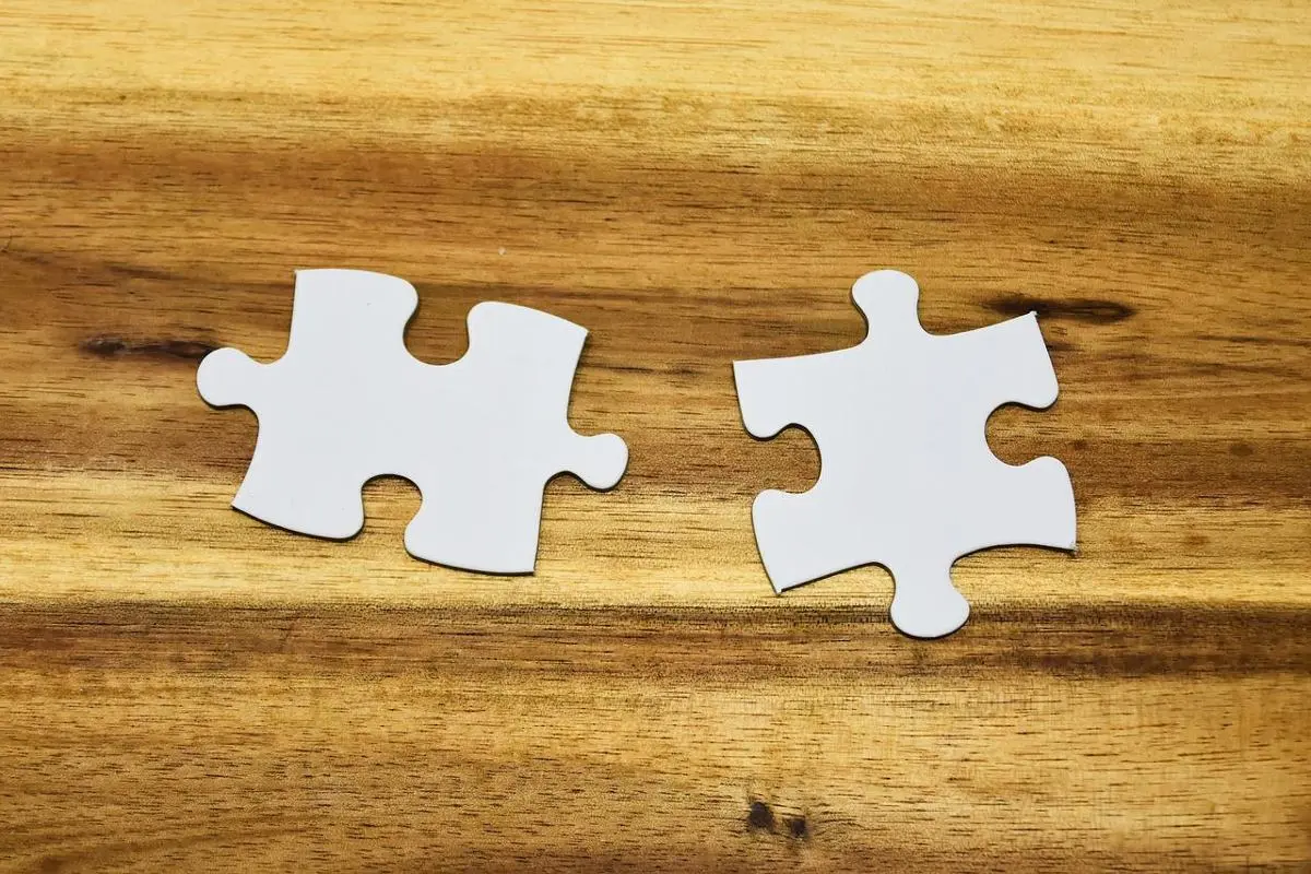 two-matching-puzzle-pieces