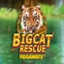 Big Cat Rescue Megaways