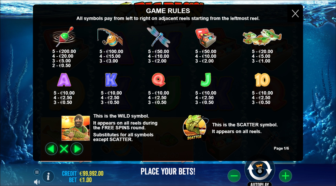Different Play Styles That Work in Big Bass Bonanza