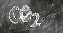 co2-leaf