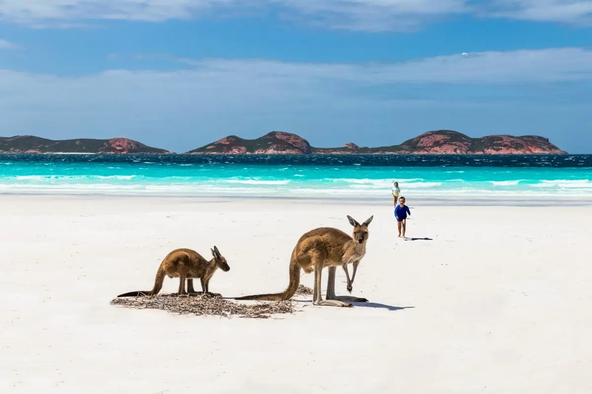 A couple of kids and cangaroos.