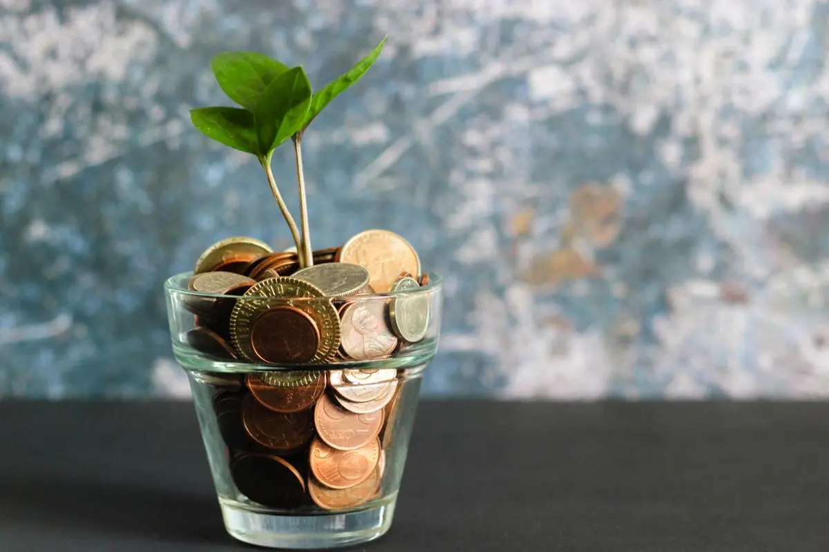 A pot with coins and a plant in it.