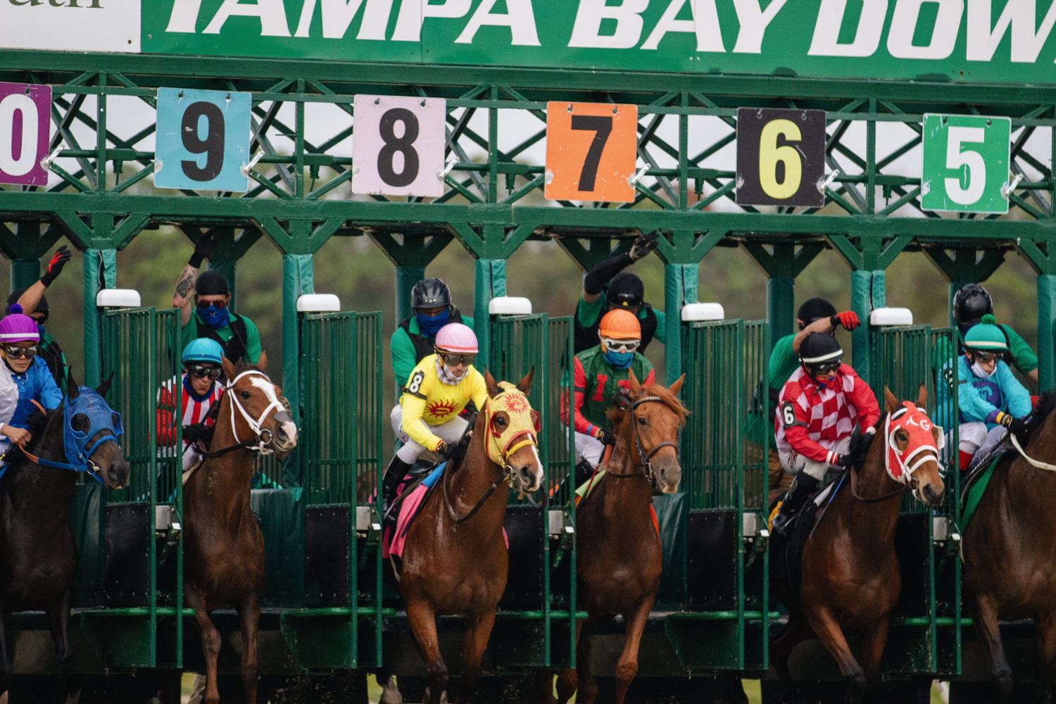 Catena Media and Spotlight Sports Group announce partnership