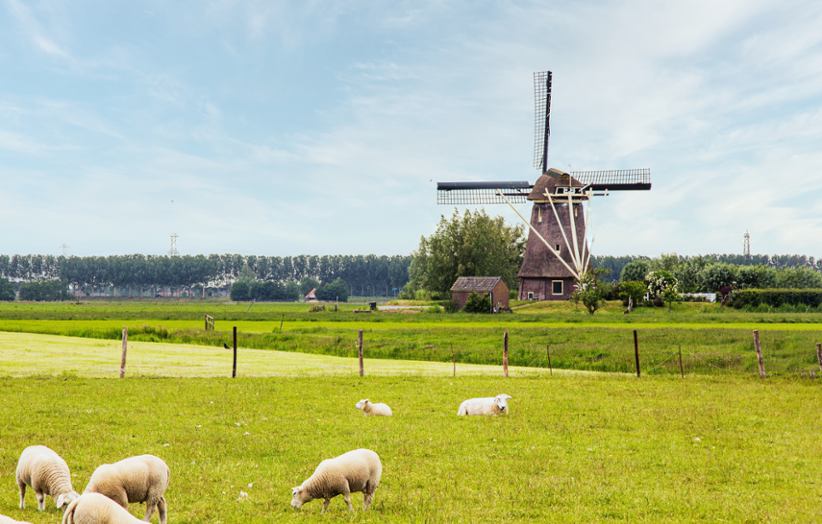 A windmill in the Netherlands.