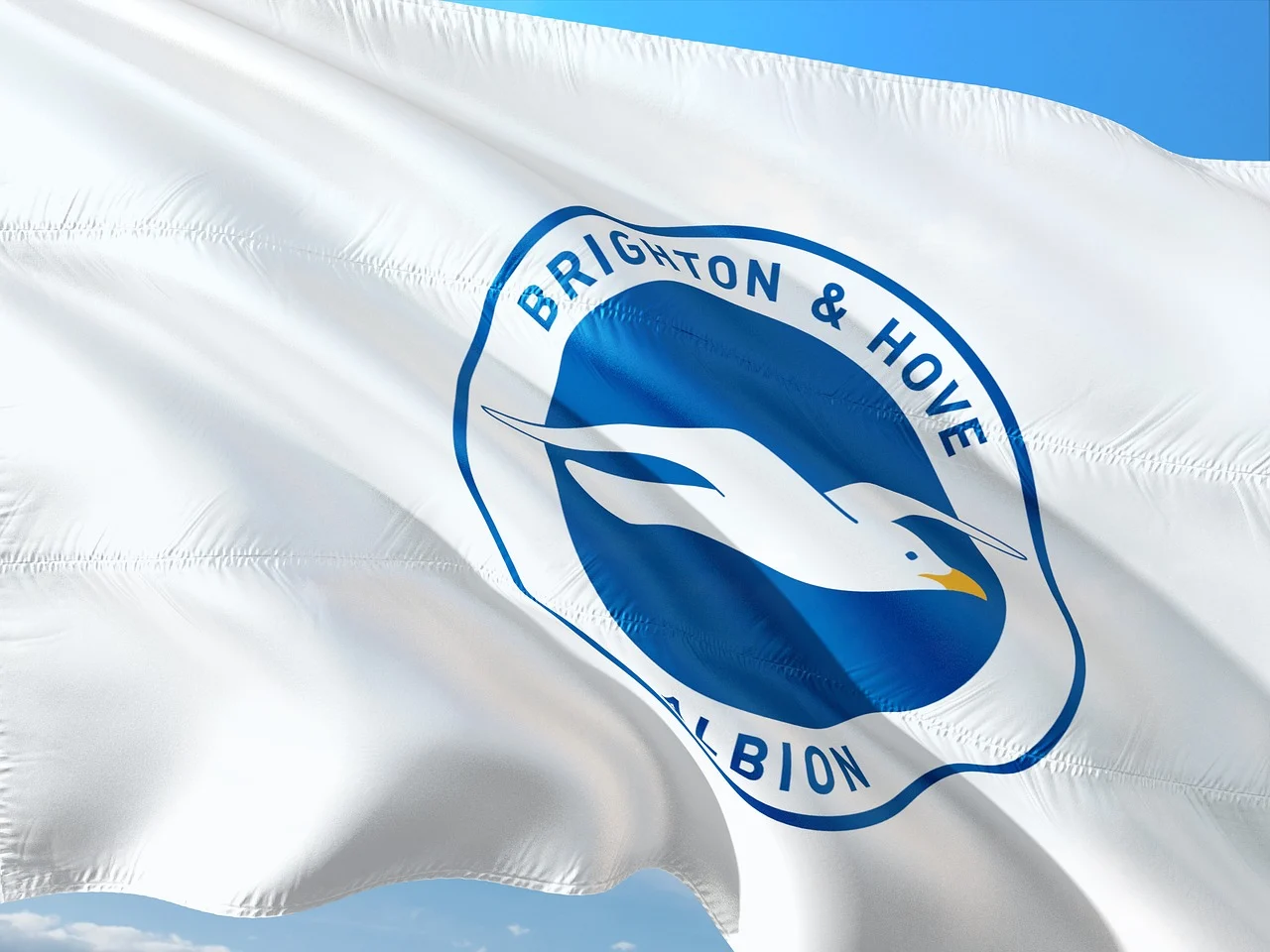 Brighton & Hove Albion partnership.
