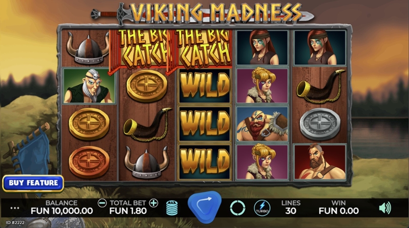 Viking Madness.jpg