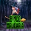 Bingo Bruxaria