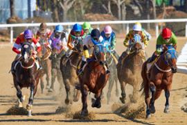 Horse racing in progress.