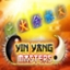 Yin Yang Masters