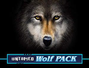 Create a wolf Create a wolf