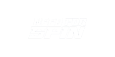 Need For Spin Casino Logo
