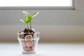 Financial growth image.