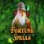 Fortune Spells