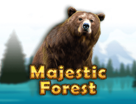 Majestic Forest