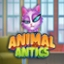 Animal Antics