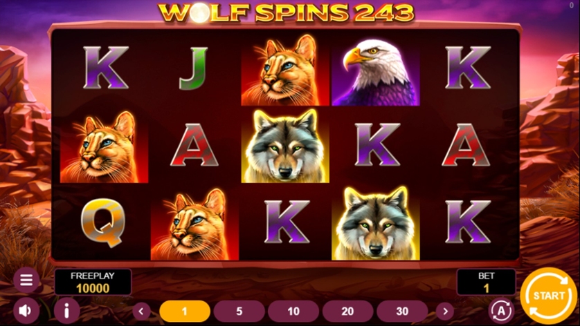 Wolf Spins 243.jpg