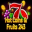 Hot Coins & Fruits 243