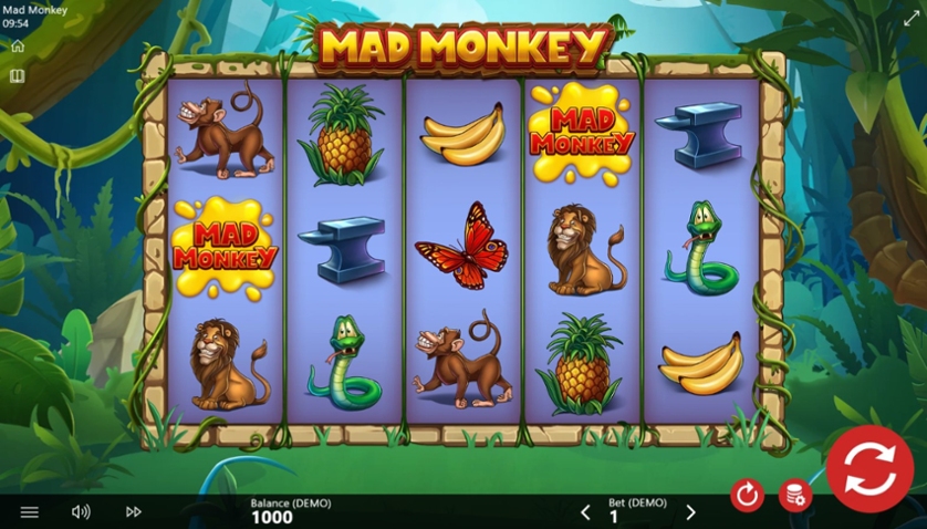 Mad Monkey.jpg