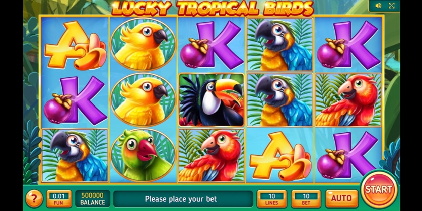 Lucky Tropical Birds.jpg