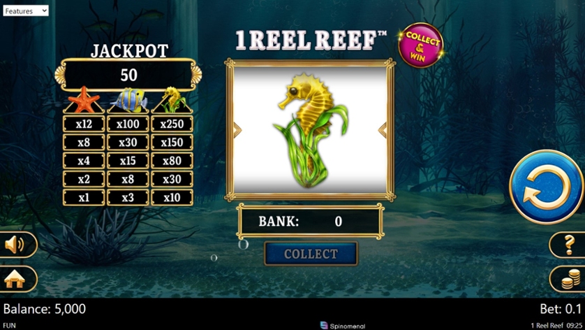 1 Reel Reef.jpg