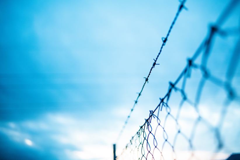 A barbed wire fence.