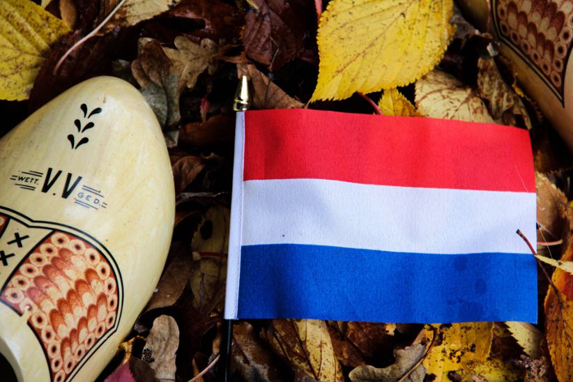 The Dutch flag against a leaf background.