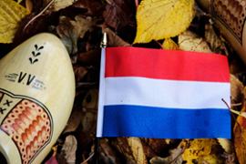 The Dutch flag against a leaf background.