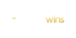 Fortune Wins Casino