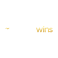 Fortune Wins Casino Logo
