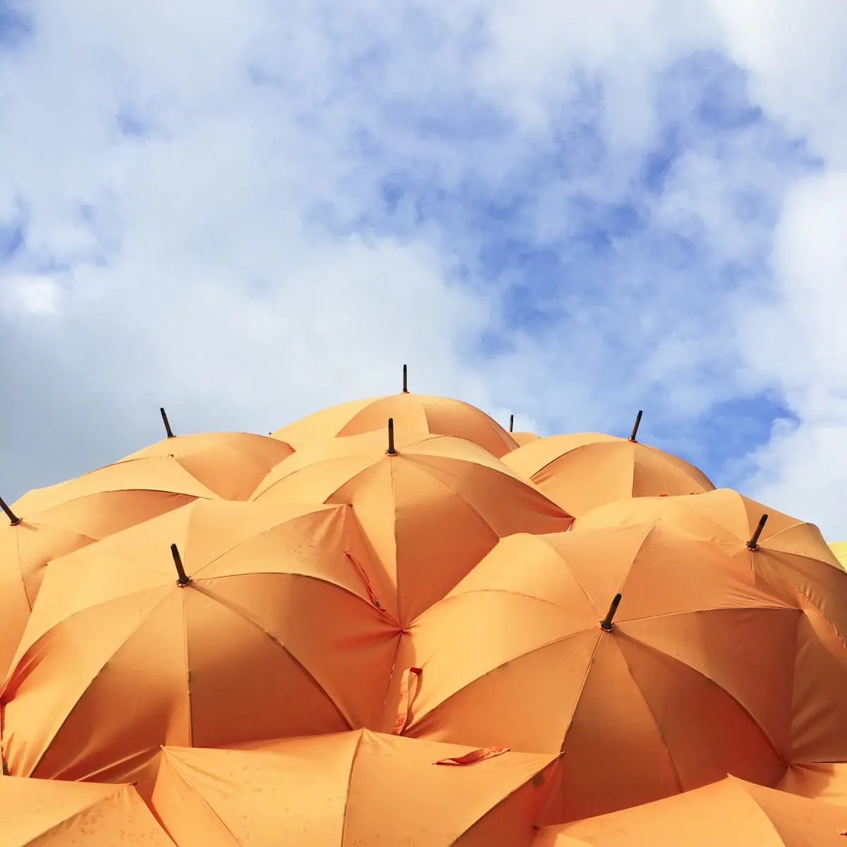 A bunch of umbrellas put together.