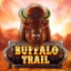Buffalo Trail