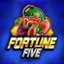 Fortune Five
